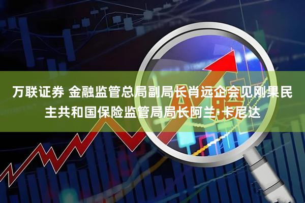 万联证券 金融监管总局副局长肖远企会见刚果民主共和国保险监管局局长阿兰·卡尼达