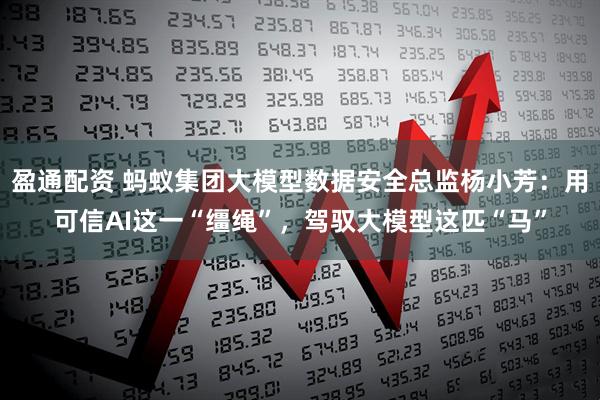 盈通配资 蚂蚁集团大模型数据安全总监杨小芳：用可信AI这一“缰绳”，驾驭大模型这匹“马”