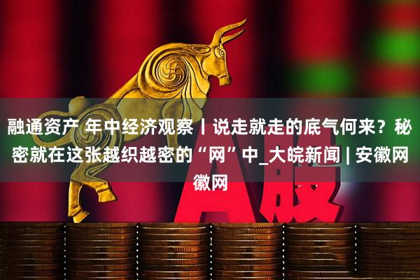 融通资产 年中经济观察丨说走就走的底气何来？秘密就在这张越织越密的“网”中_大皖新闻 | 安徽网