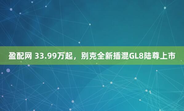 盈配网 33.99万起，别克全新插混GL8陆尊上市